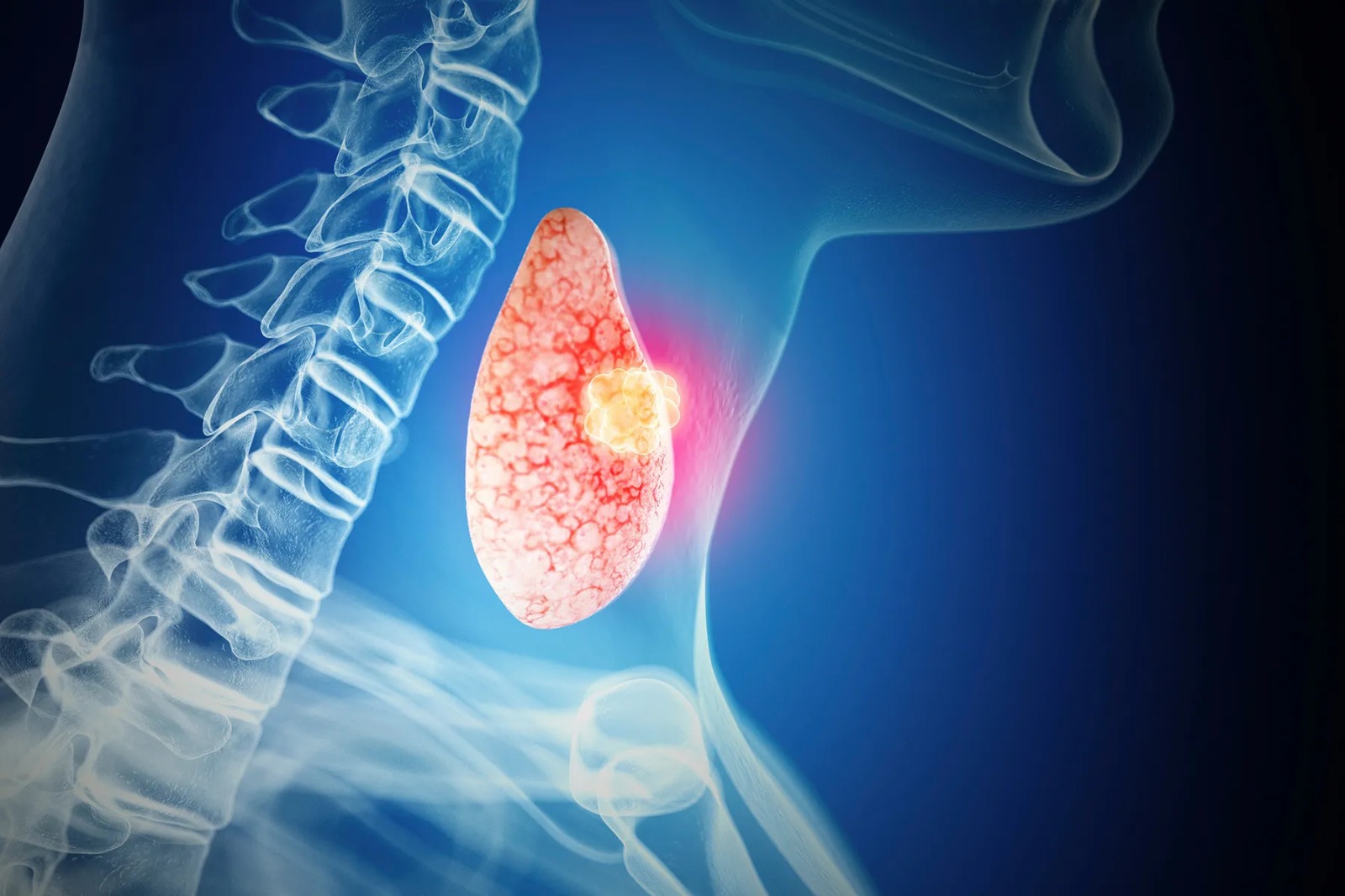 થાઇરોઇડ શું છે, તેના લક્ષણો અને સારવાર? તેના વિશે બધું જાણો 2 WhatsApp Image 2025 10 29 at 3.21.54 PM