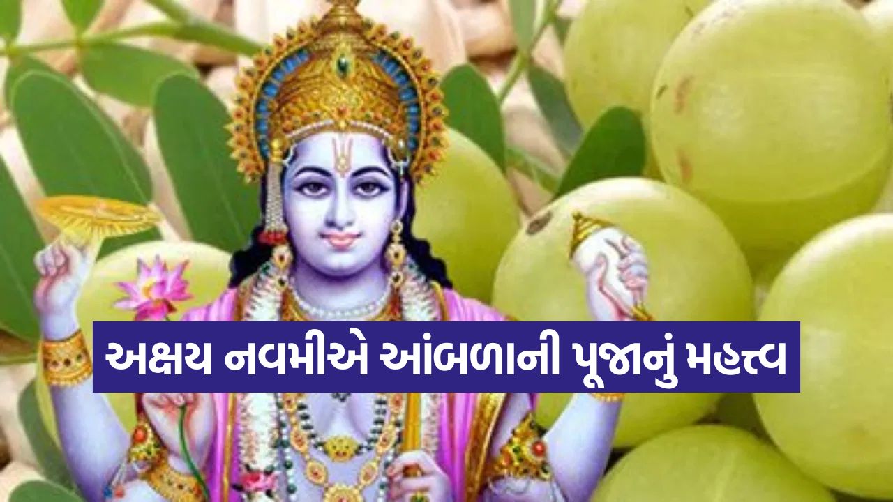 અક્ષય નવમી 2025: આ દિવસે આંબળાના ઝાડની પૂજા કેમ થાય છે? જાણો ભગવાન વિષ્ણુ સાથેનો પૌરાણિક સંબંધ 33 navmi2