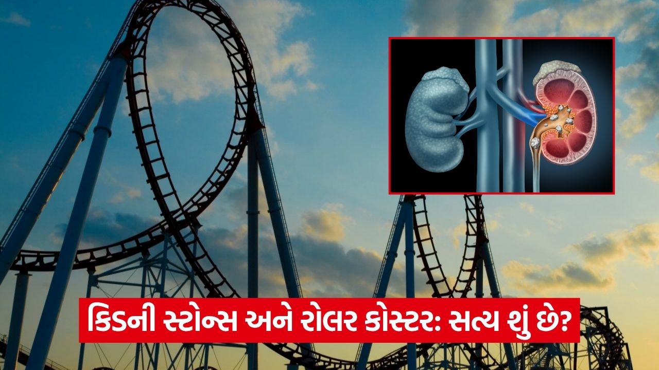 શું રોલર કોસ્ટરથી કિડનીની પથરી મટી શકે છે? દાવા પાછળનું સત્ય જાણો 33 health 54 1