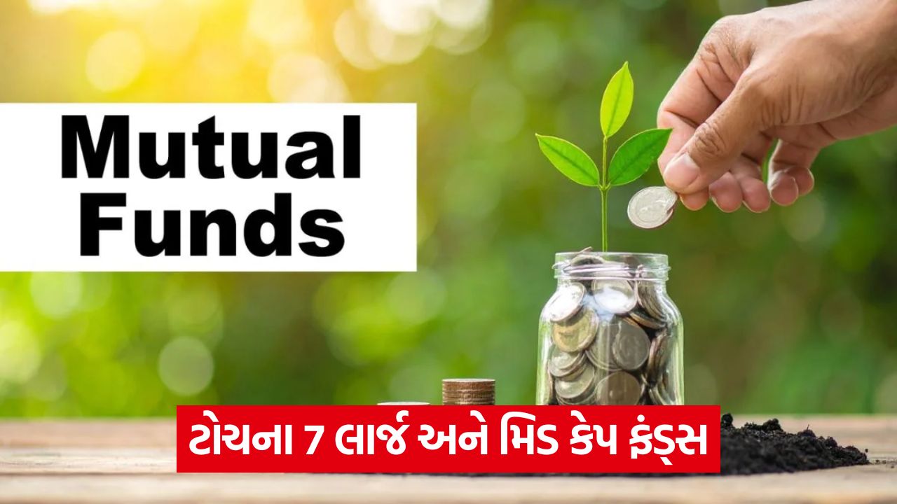 લાર્જ અને મિડ-કેપ ફંડ્સ શું છે? 33 business 65