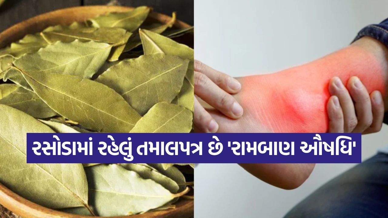 યુરિક એસિડ અને હાડકાંમાં જમા થયેલા પ્યુરિન માટે રામબાણ છે તમાલપત્ર, જાણો સેવન કરવાની યોગ્ય રીત 33 tejpata