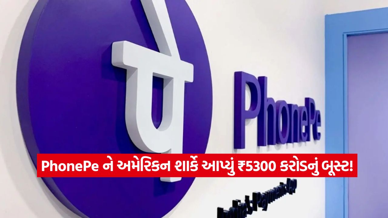 આ અમેરિકન શાર્કે PhonePe ને આપ્યું ₹5300 કરોડનું બૂસ્ટ, ₹12 હજાર કરોડનો IPO આવવાની તૈયારી 22 phone pay 2