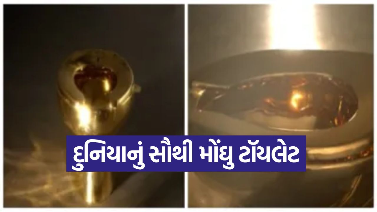 દુનિયાનો સૌથી મોંઘુ ટૉયલેટ, નામ છે 'અમેરિકા' અને કિંમત એટલી કે સાંભળીને હોશ ઊડી જશે, જાણો કેમ છે ખાસ 13 toilet2