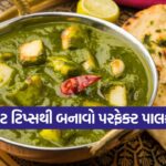 palak paneer 3