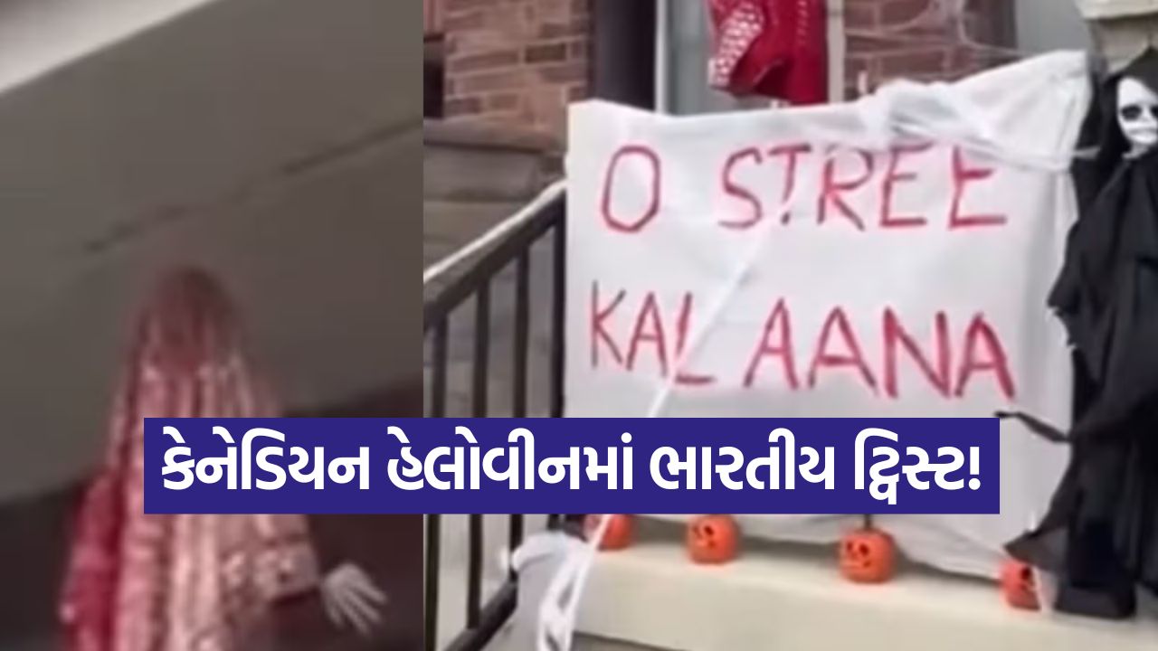 Video: કેનેડિયન હેલોવીનમાં ભારતીય ટ્વિસ્ટ! 'સ્ત્રી' ફિલ્મના ડાયલોગે મચાવી ધમાલ, વીડિયો વાયરલ 33 video