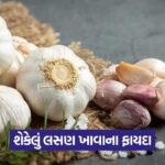 health 655