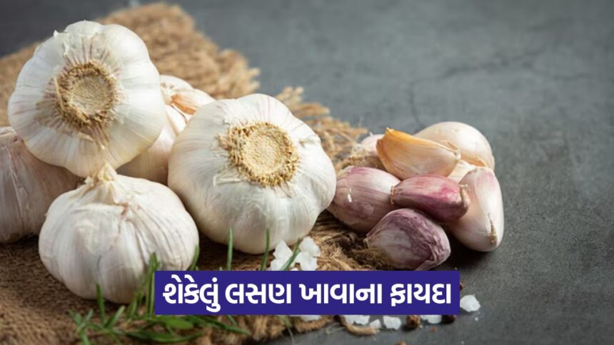 health 655