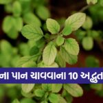 tulsi