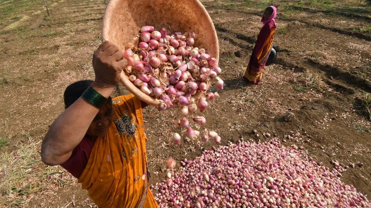 ભારતના ડુંગળી પ્રતિબંધથી બાંગ્લાદેશમાં સંકટ: ભડકે બળતા ભાવ, સામાન્ય જનતાની મુશ્કેલી વધી! 3 dugari1