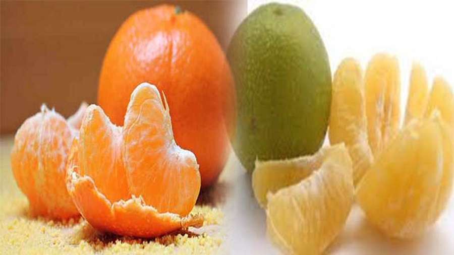 ફિટ અને એનર્જેટિક રહેવું છે? આખી સીઝન આ 10 ફળો ખાવાનું ભૂલતા નહીં! 3 mosabi