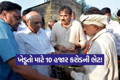 Gujarat Farmers Relief Package