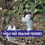 Gujarat Farmers Aid Package 1