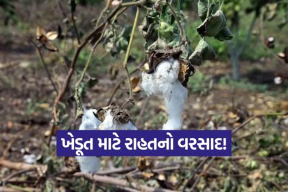 Gujarat Farmers Aid Package 1