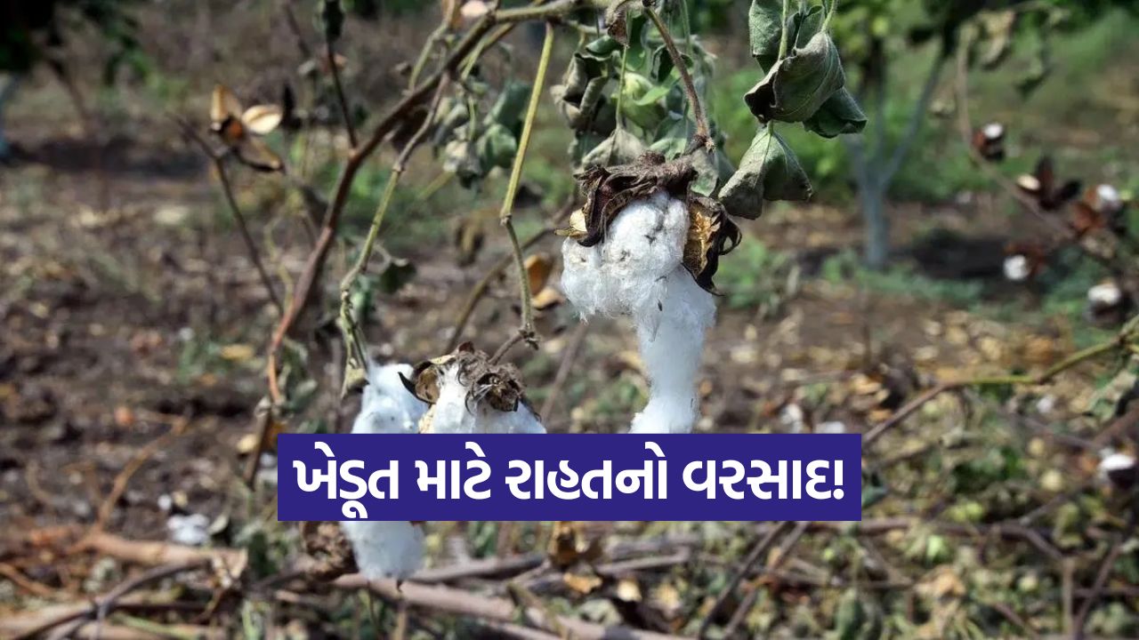 Gujarat Farmers Aid Package 1