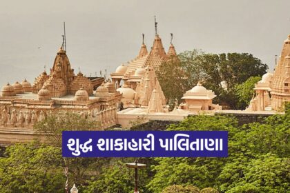 Palitana Meat Ban 1