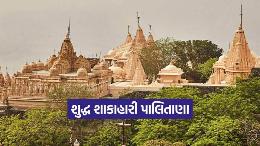 Palitana Meat Ban 1