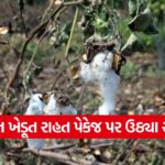 Gujarat farmer relief package 2025 1