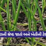 Garlic Farming 1
