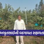 Horticulture Farming 1