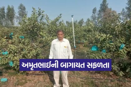 Horticulture Farming 1