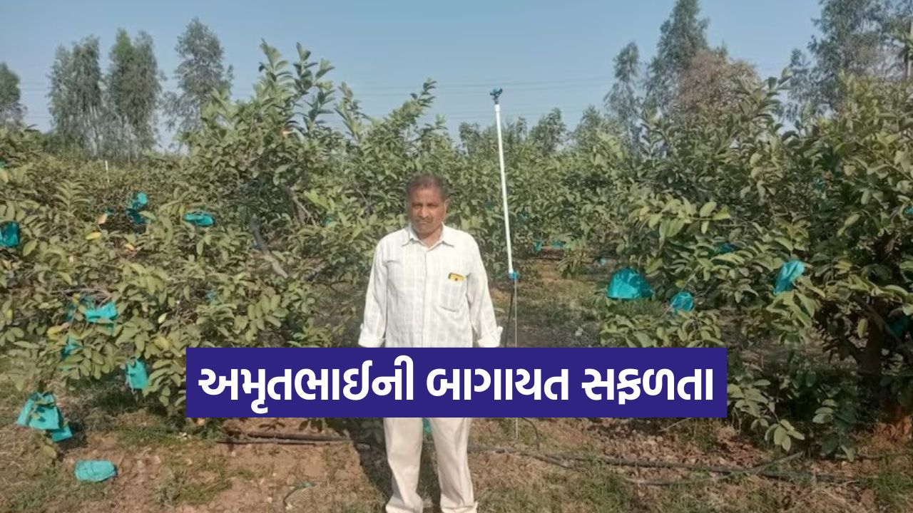 Horticulture Farming 1