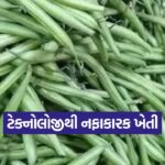High Tech Bean Farming 1