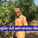 Organic Horticulture Farming 1