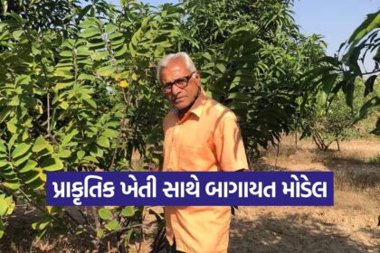Organic Horticulture Farming 1