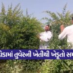 Toor Cultivation 1