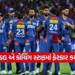cricket 2