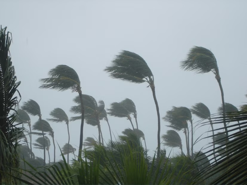 Gujarat Weather Forecast 2