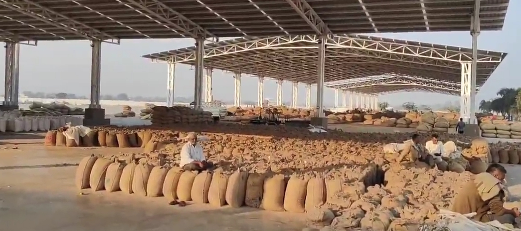 Amreli Groundnut Price Crisis 1