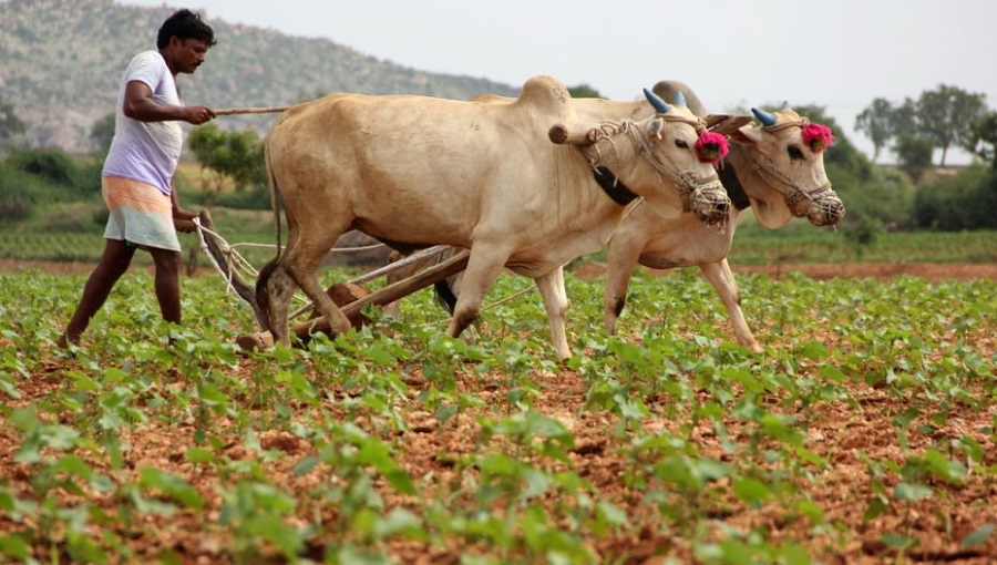 PM કિસાન યોજના: ખેડૂતો માટે મોટા સમાચાર, હવે કેન્દ્ર સરકારે પોતે જ આપ્યું અપડેટ 2 kishan