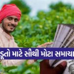 kisan