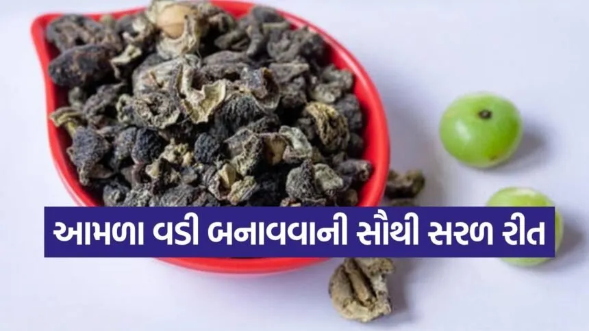 amla vadi1