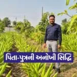 Natural Farming Gujarat