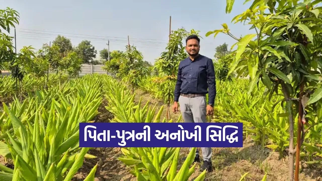 Natural Farming Gujarat.jpg