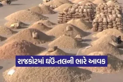 Rajkot Market Yard