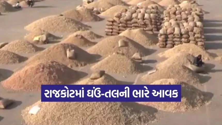 Rajkot Market Yard