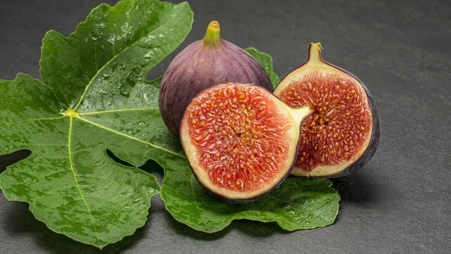 પોષક તત્વોનો ખજાનો છે અંજીર: જાણો, દરરોજ માત્ર ૨ અંજીર ખાવાના આ ૫ મોટા સ્વાસ્થ્ય લાભો 2 anjeer.jpg