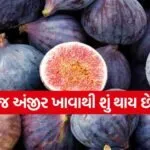 anjeer 2
