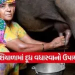 Milk Production 1