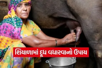 Milk Production 1