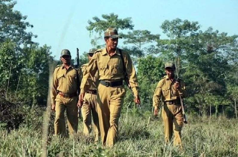 Forest Department Family Pension Scheme: વન વિભાગના રોજમદારો માટે રાજ્ય સરકારનો મોટો નિર્ણય: હવે પરિવારને મળશે કુટુંબ પેન્શનનો હક 2 Forest Department Family Pension Scheme 2.png