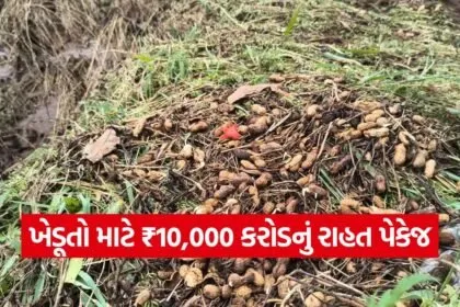Relief Package for Farmers 1