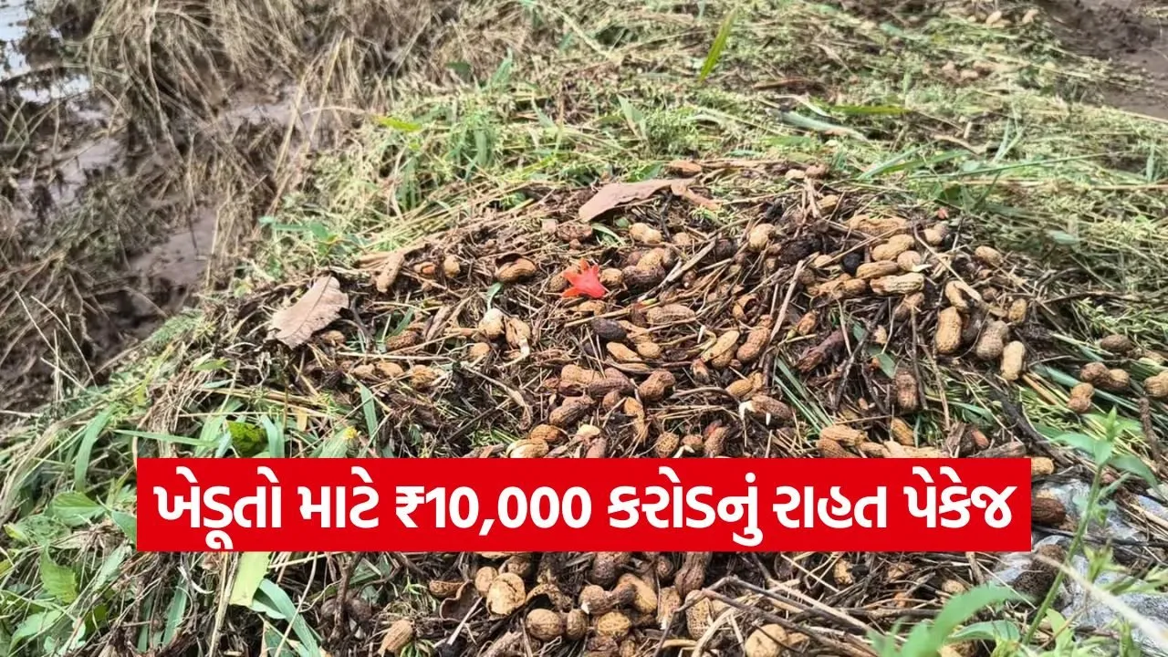 Relief Package for Farmers 1.jpg