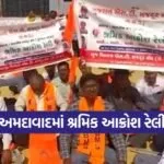 Bhartiya Mazdoor Sangh Rally 1