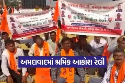 Bhartiya Mazdoor Sangh Rally 1