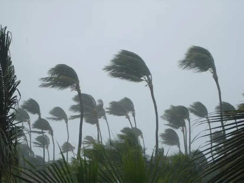 Gujarat Weather Update 2.png