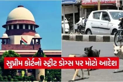 Supreme Court Order on Stray Dogs 1
